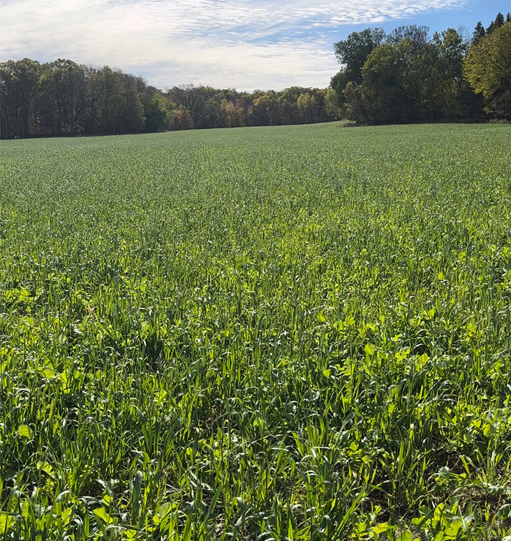 Lawn, Garden, and Cover Crops