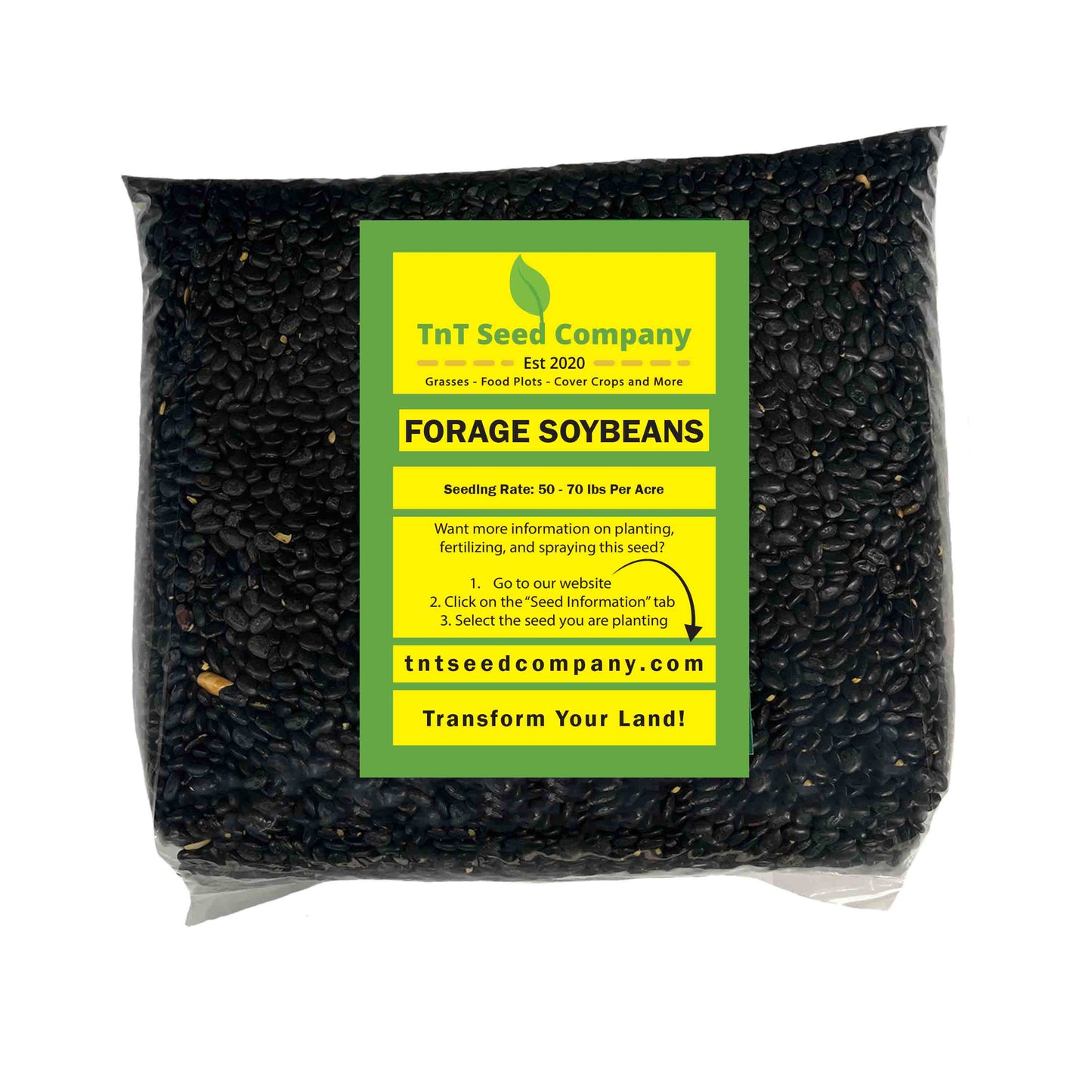 Laredo Forage Soybeans