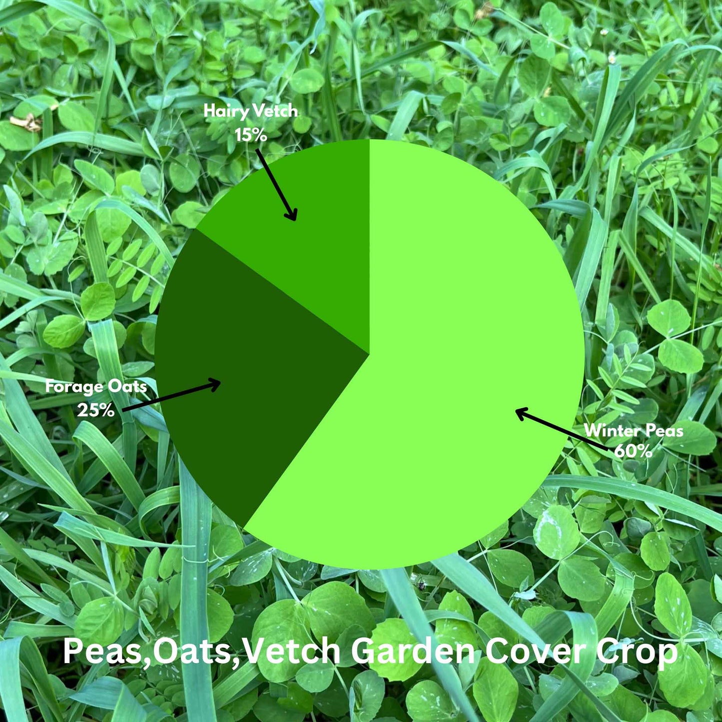 Peas, Oats, Vetch Garden Cover Crop Mix