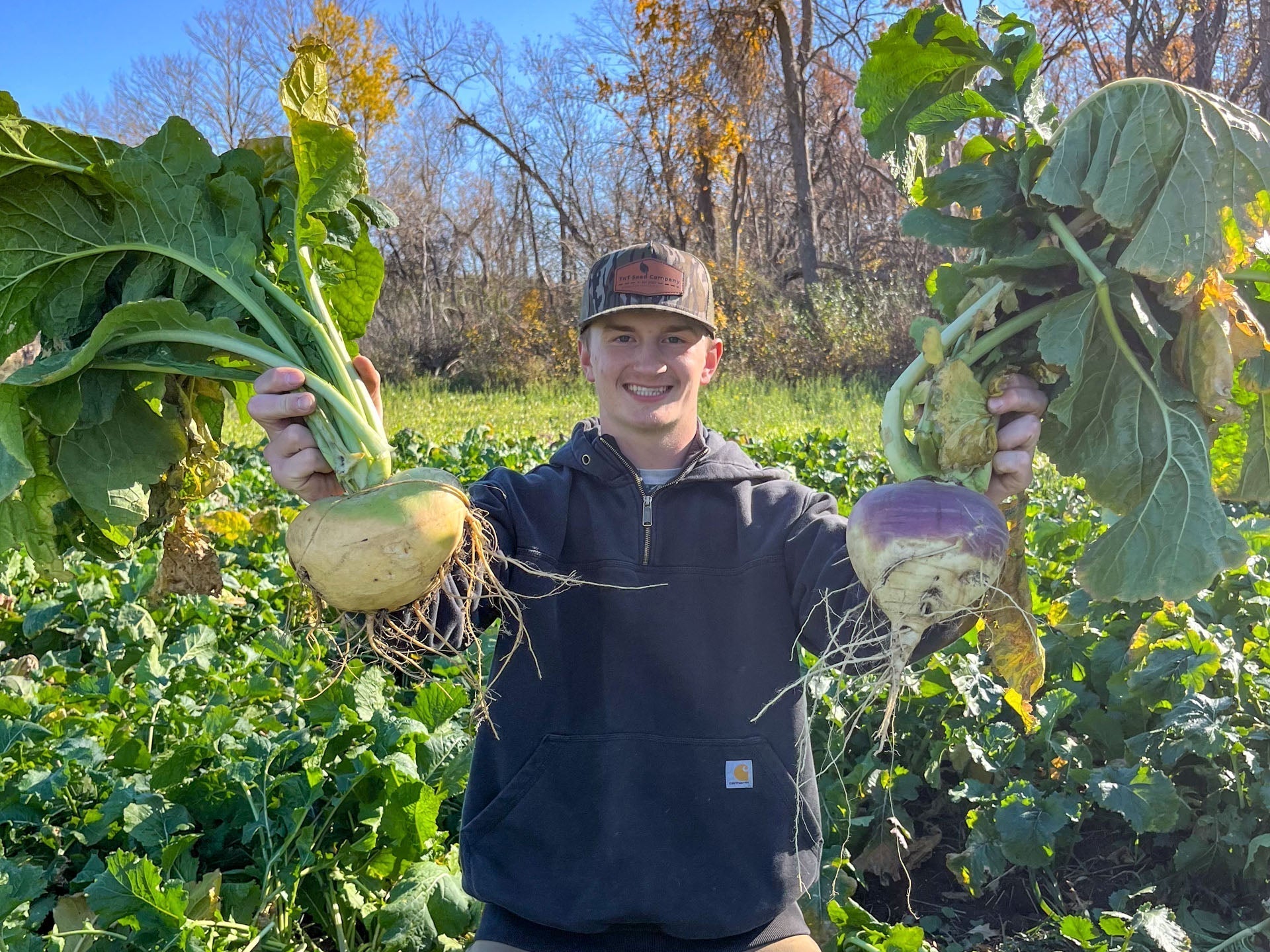 Brassica Mixes for Fall Food Plots: What to Plant for Deer This Season