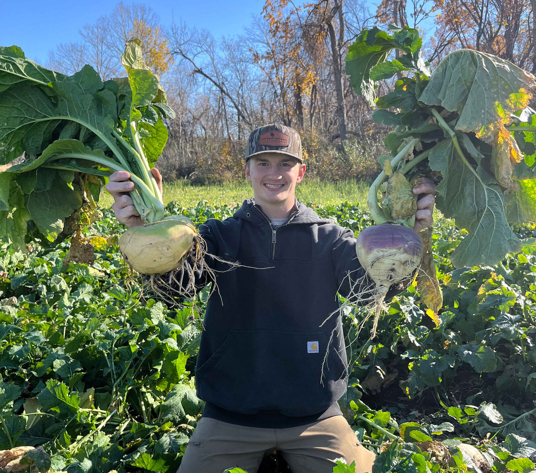 Premium Brassicas
