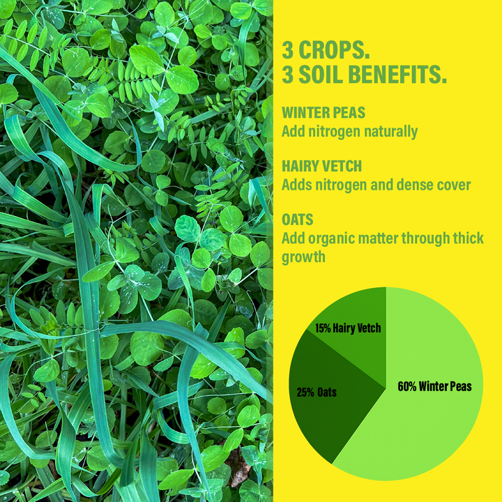 Peas, Oats, Vetch Garden Cover Crop Mix