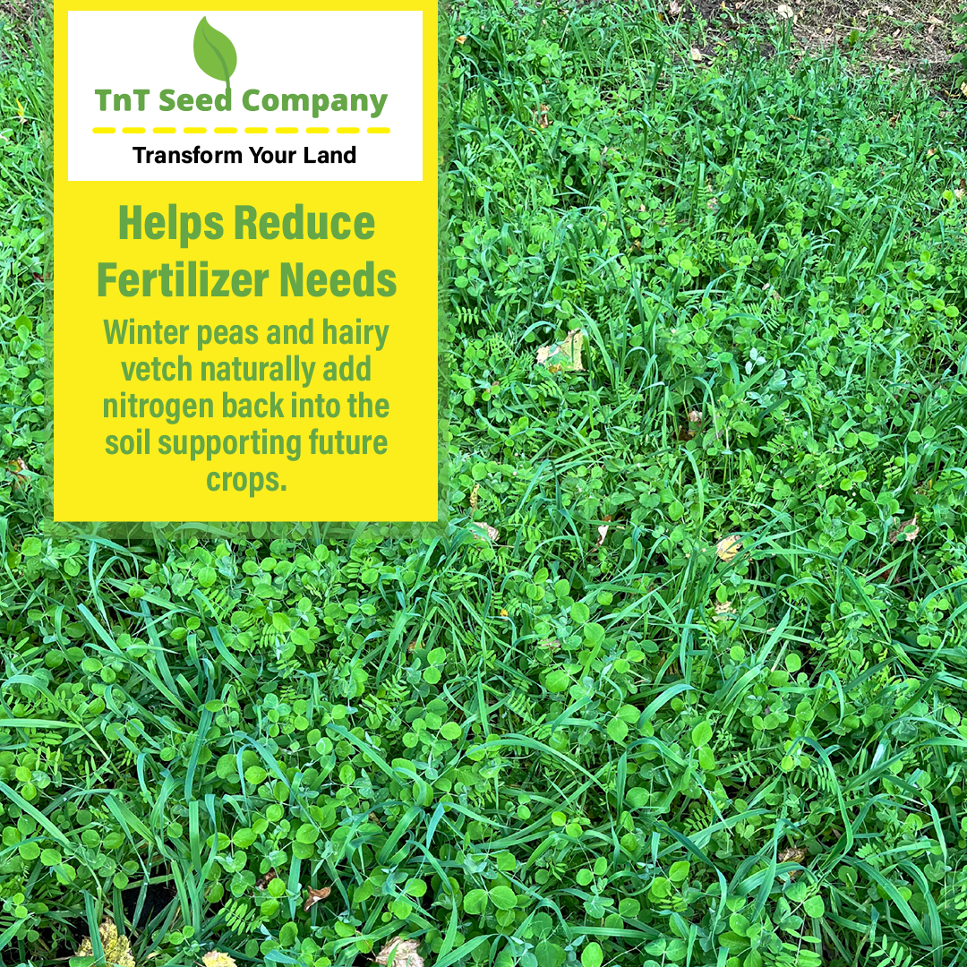 Peas, Oats, Vetch Garden Cover Crop Mix