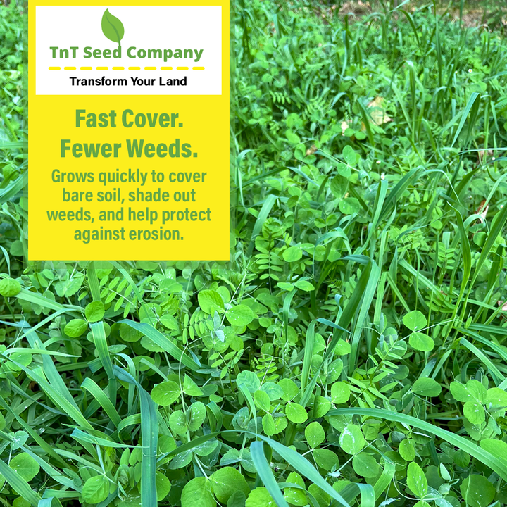 Peas, Oats, Vetch Garden Cover Crop Mix