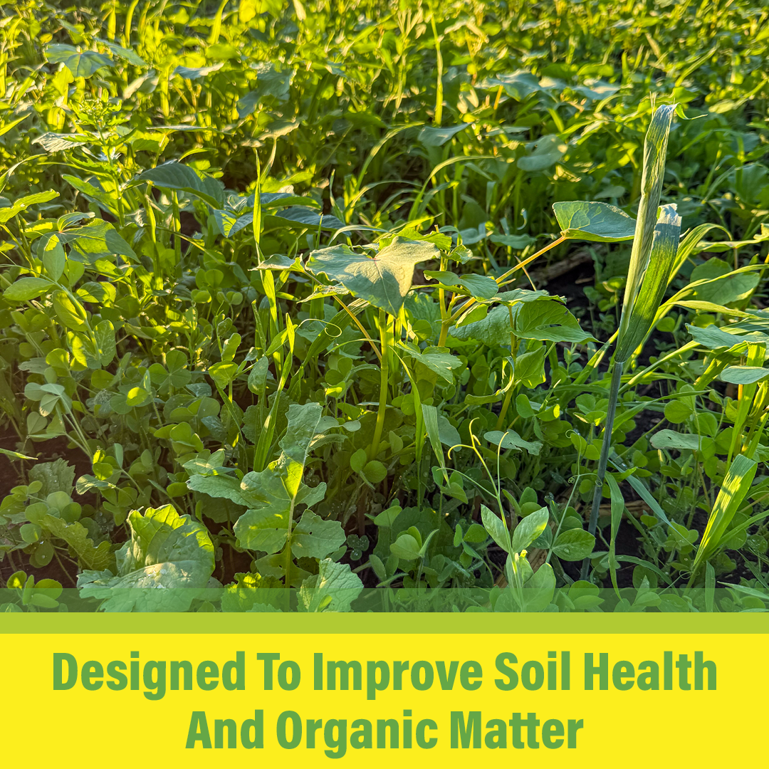 All Purpose Garden Cover Crop Mix
