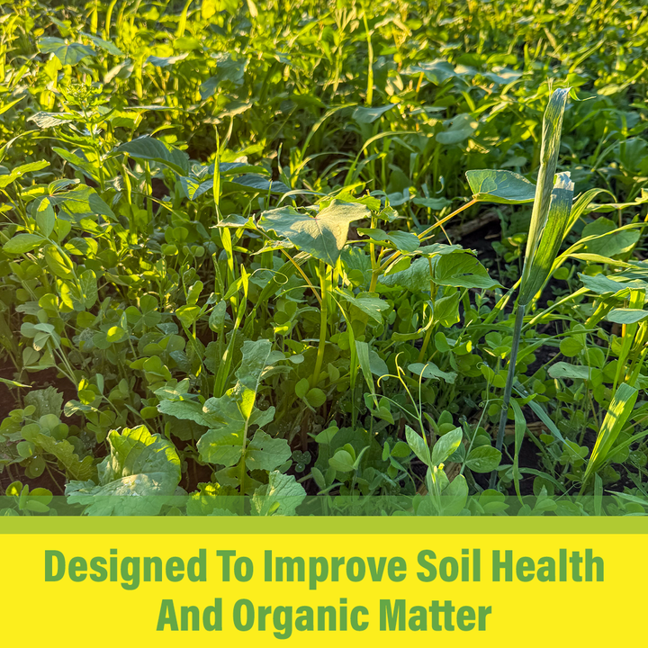 All Purpose Garden Cover Crop Mix