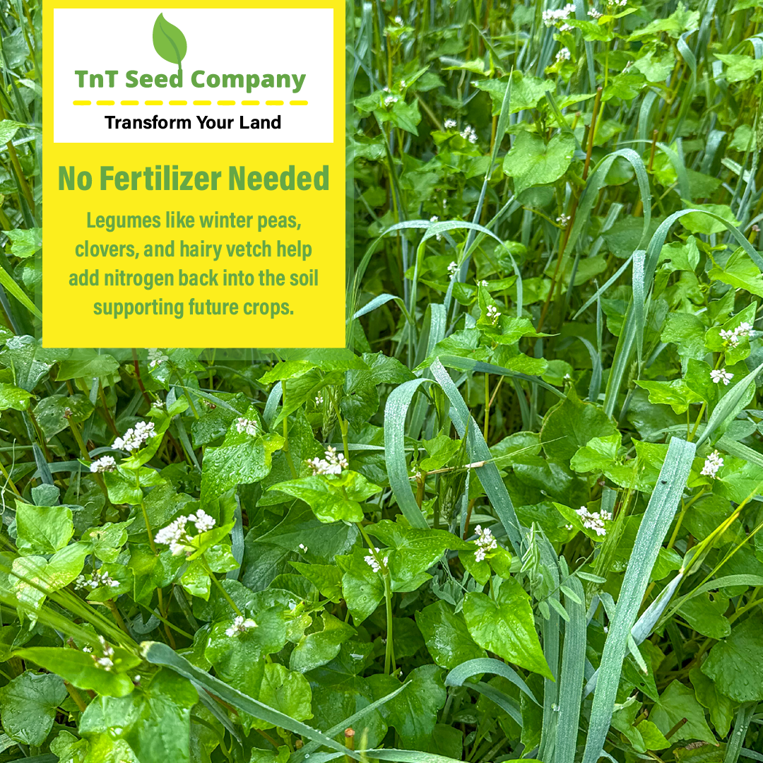All Purpose Garden Cover Crop Mix