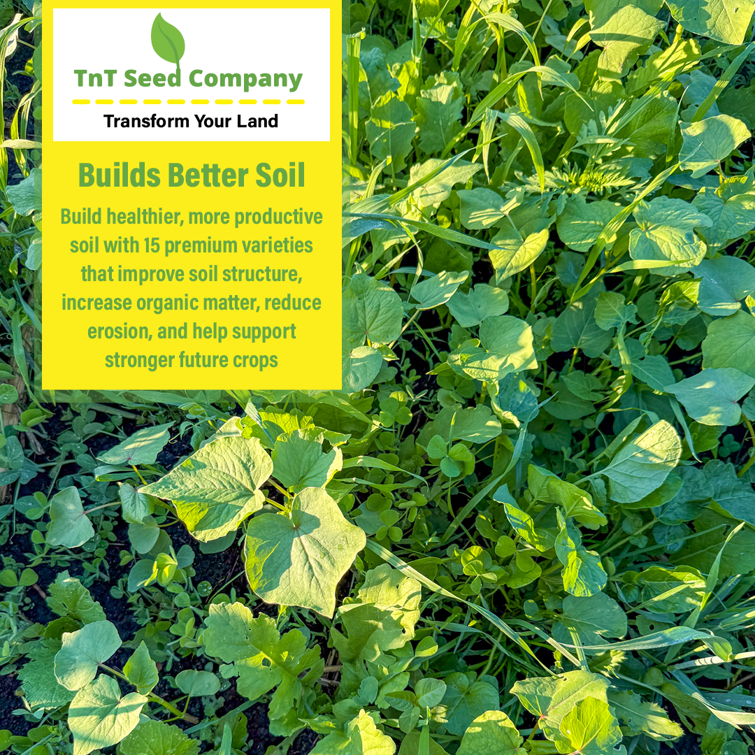All Purpose Garden Cover Crop Mix