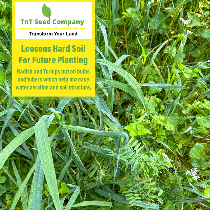 All Purpose Garden Cover Crop Mix