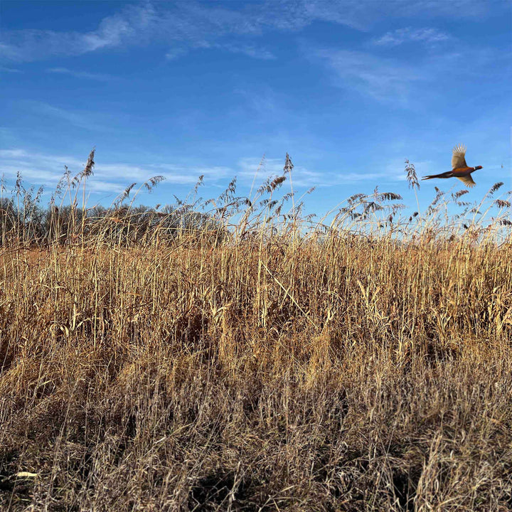 Annual Upland Game Bird Food Mix