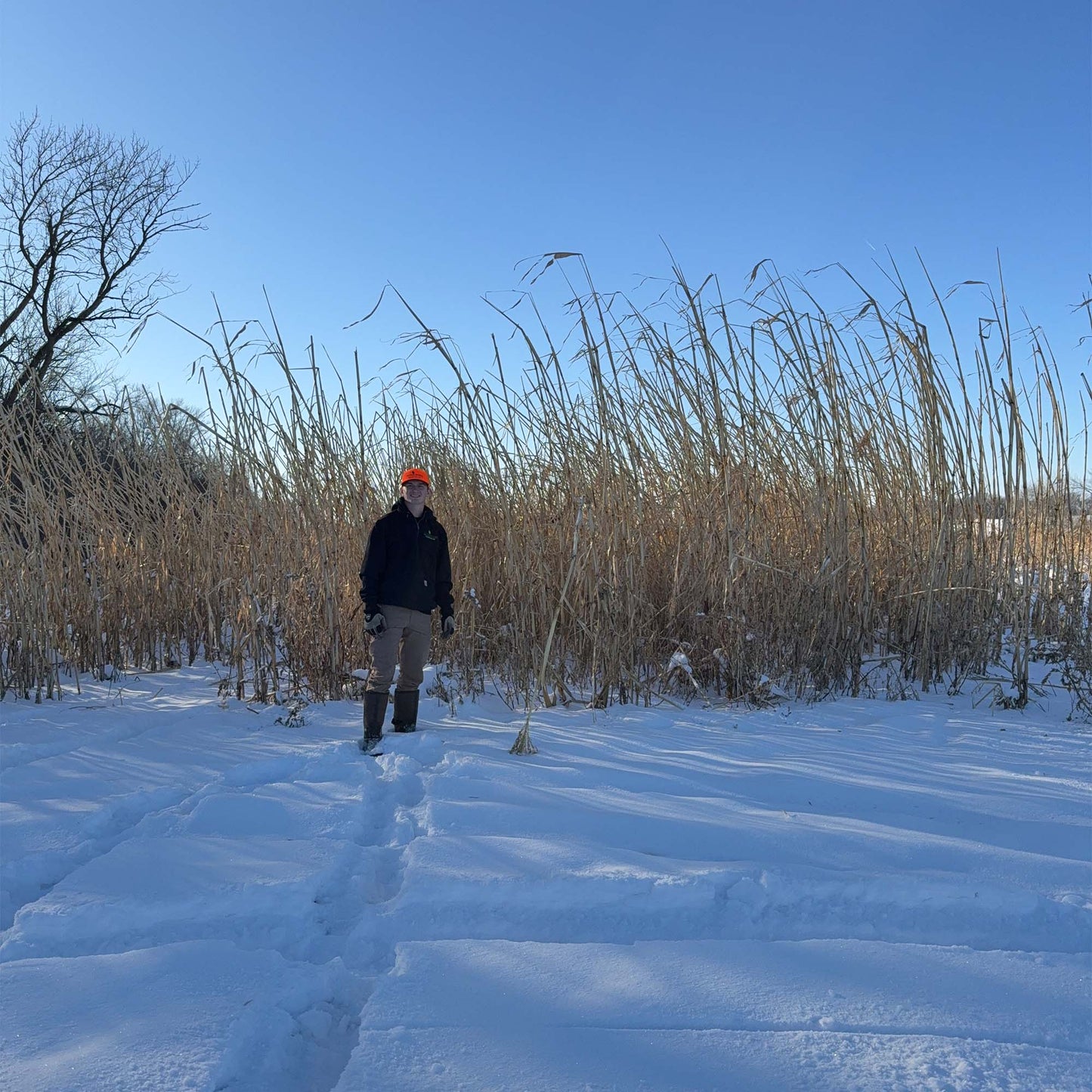 BARRIER "Screen" (Pre-Order Available)