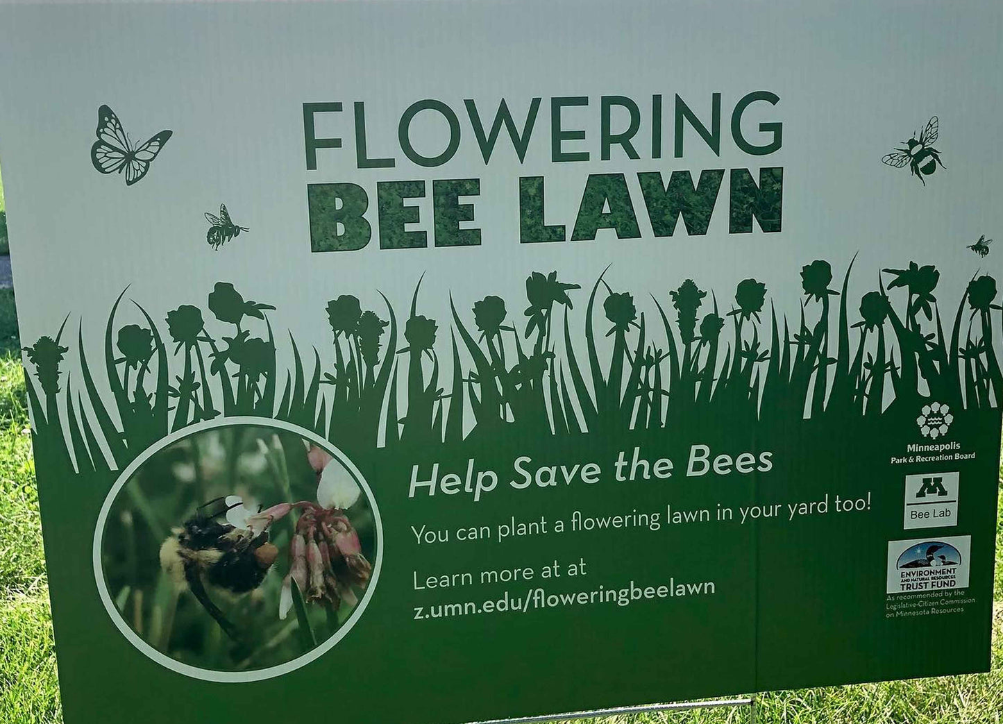 Bee Lawn Mix