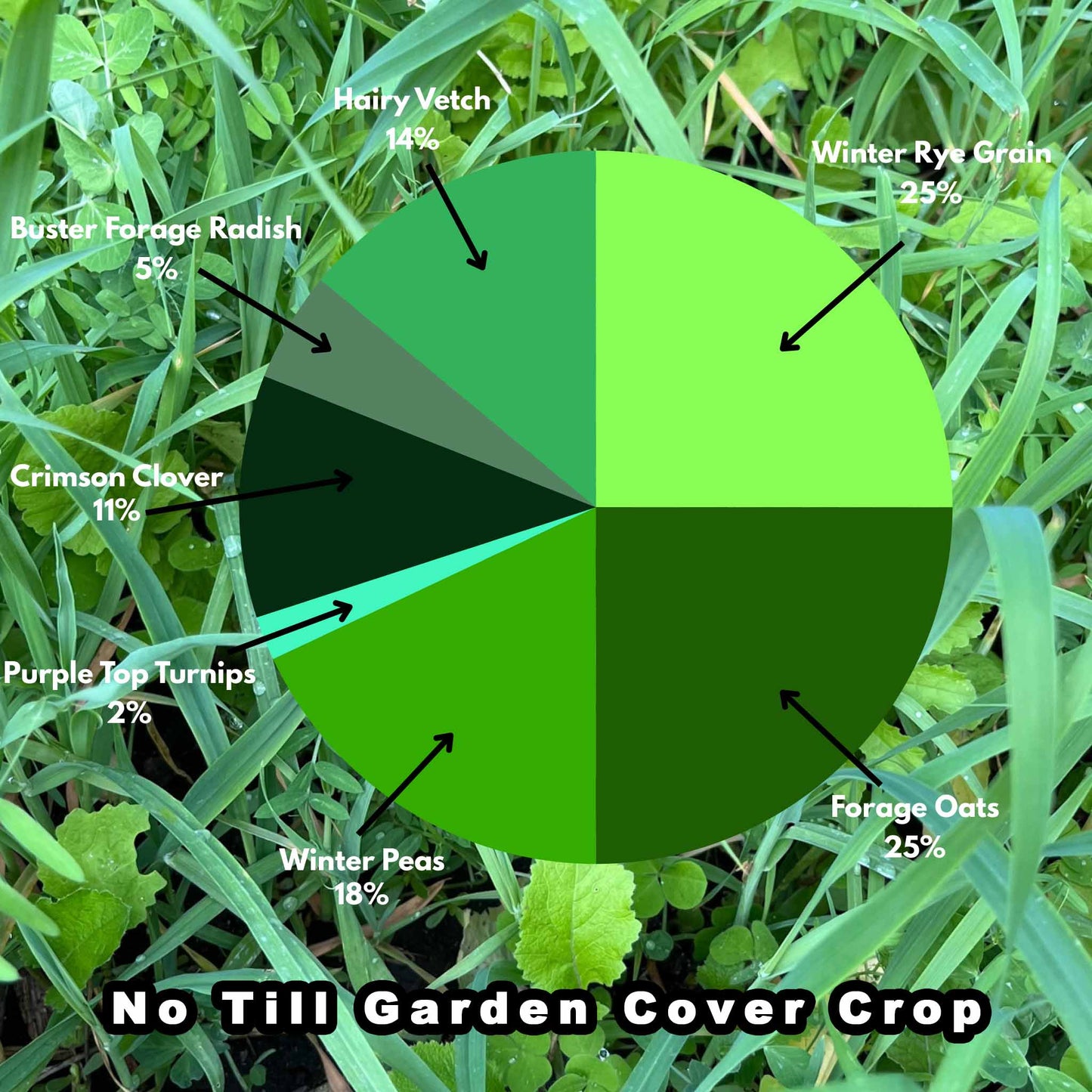 No Till Garden Cover Crop Mix