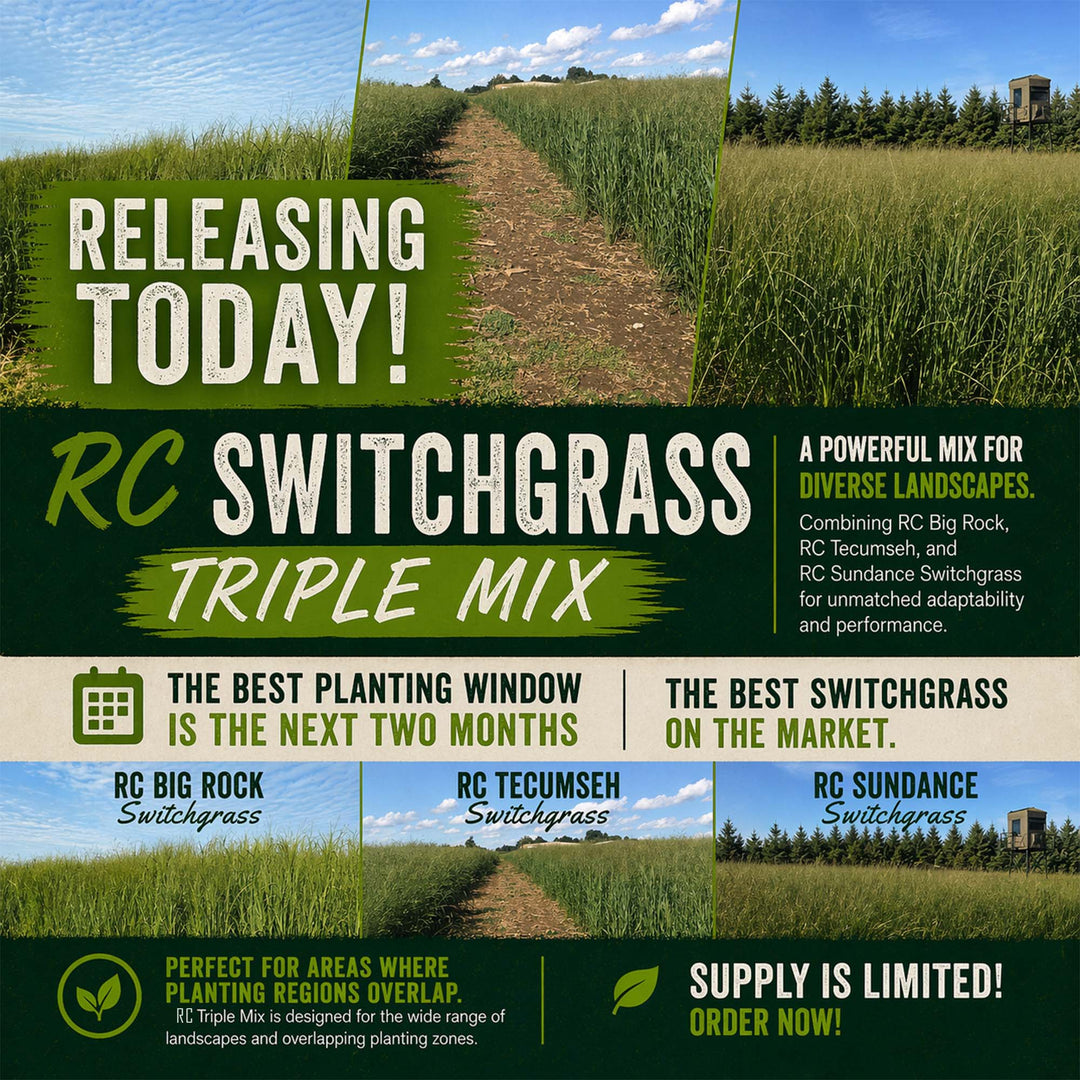 RC Switchgrass Triple Mix