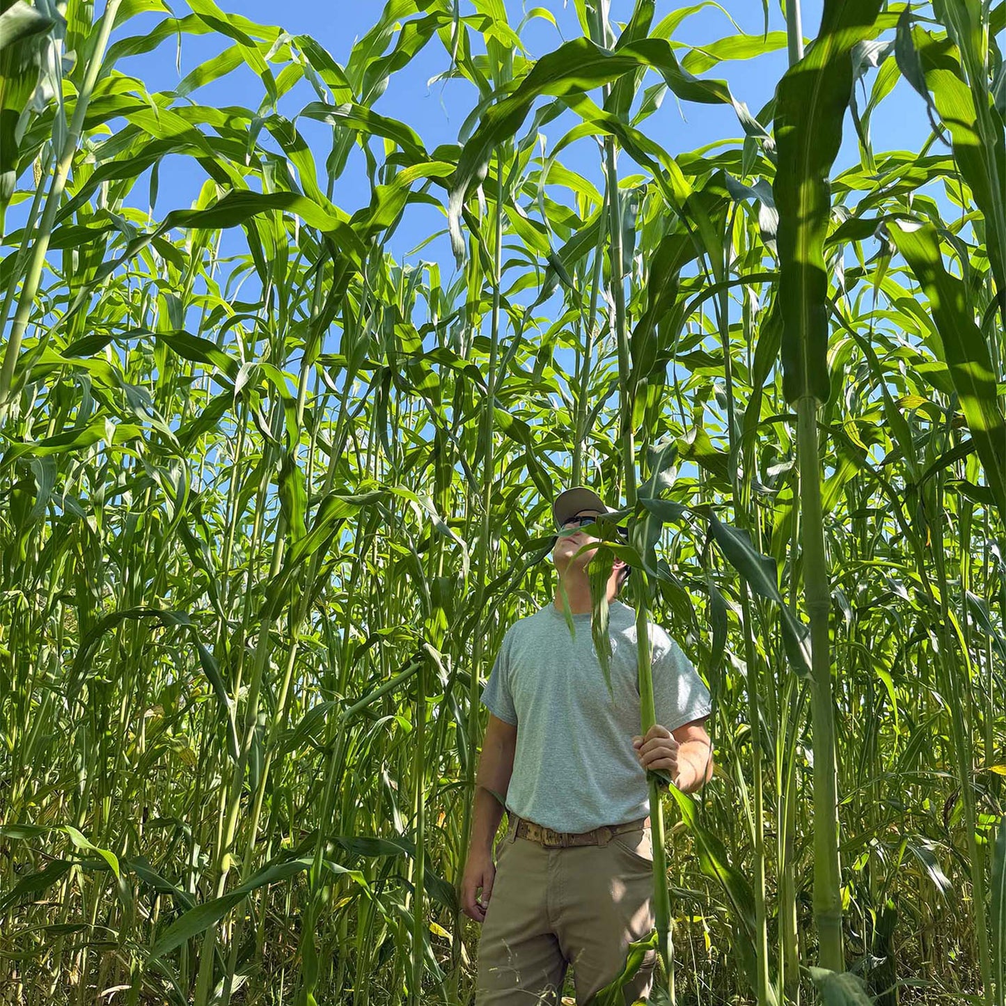 BARRIER "Screen" (Pre-Order Available)